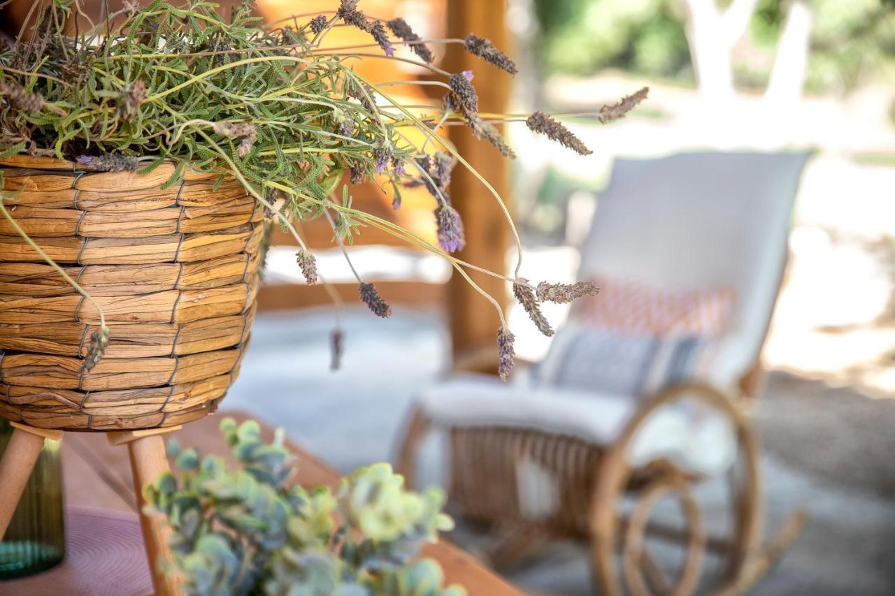 Sardinia Re - Casa Luisa With Pool Apartment Alghero Ngoại thất bức ảnh